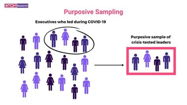 What is purposive sampling according to authors?