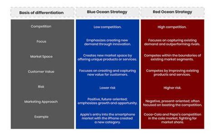 What is Red Blue Ocean Strategy?