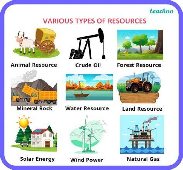 What is Resource How many types of resource?