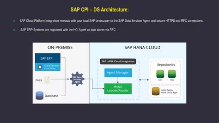 What is SAP CPI DS?