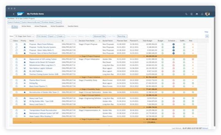 What is SAP Portfolio and Project Management?