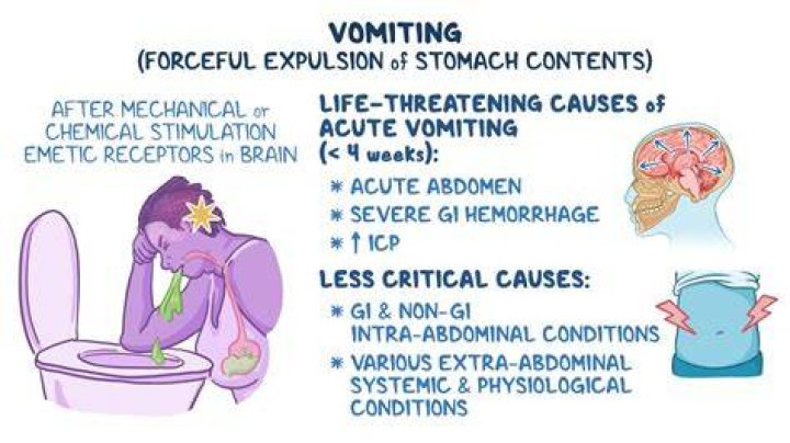 What is self induced vomiting called?