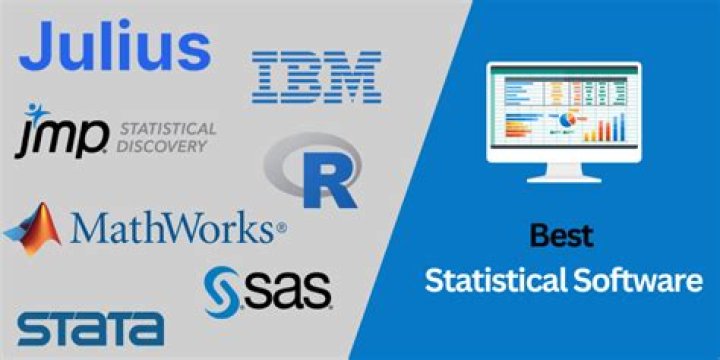 What is statistical software in research?