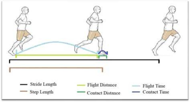What is stride frequency?