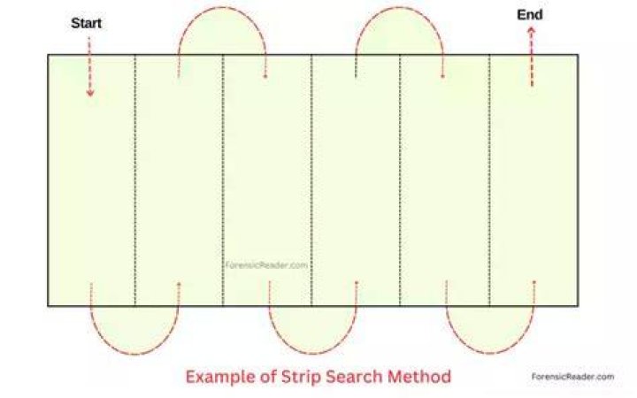 What is strip search method?