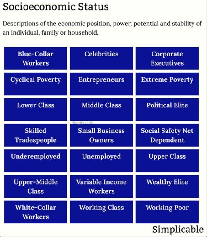 What is subjective socioeconomic status?