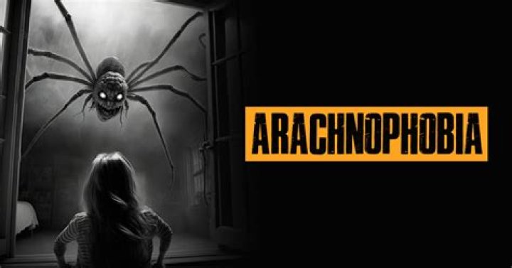 What is the arachnophobia?