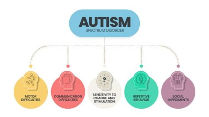 What is the autistic spectrum?