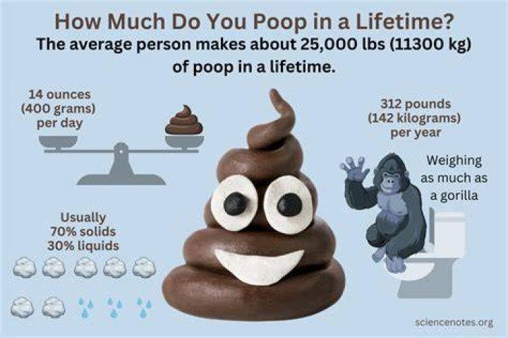 What is the average weight of a human poop?
