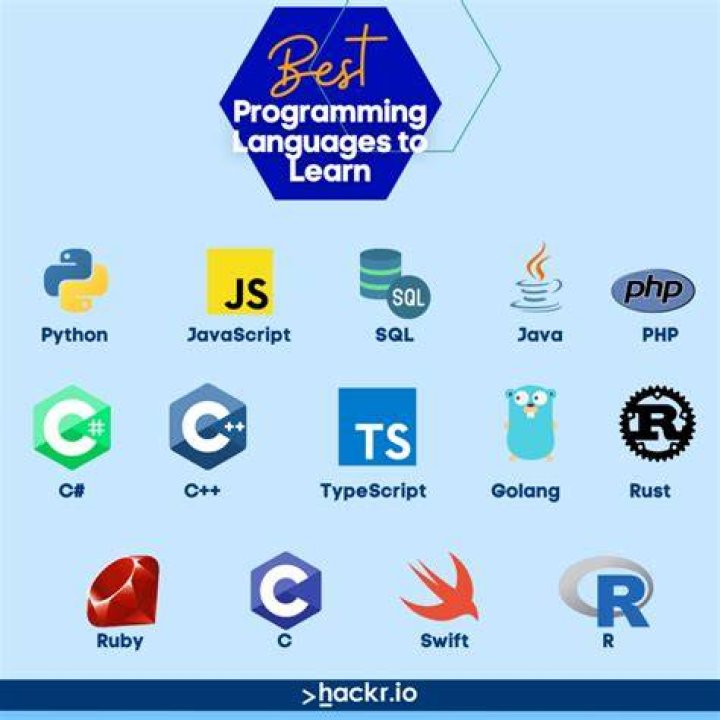 What is the best language program?