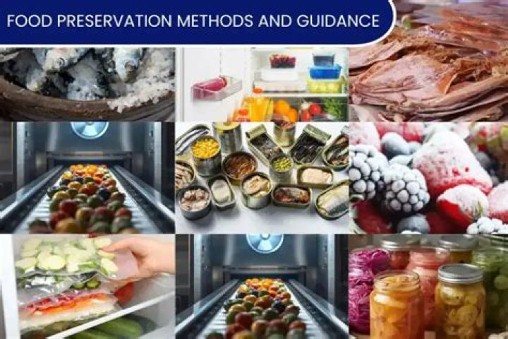 What is the best method of food preservation?