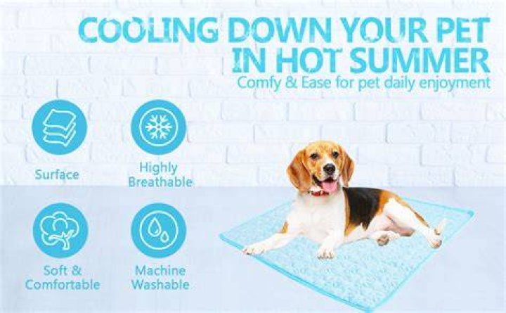 What is the best pet cooling mat?