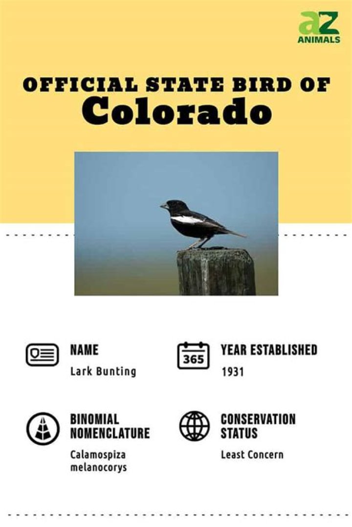 What is the bird of Colorado?