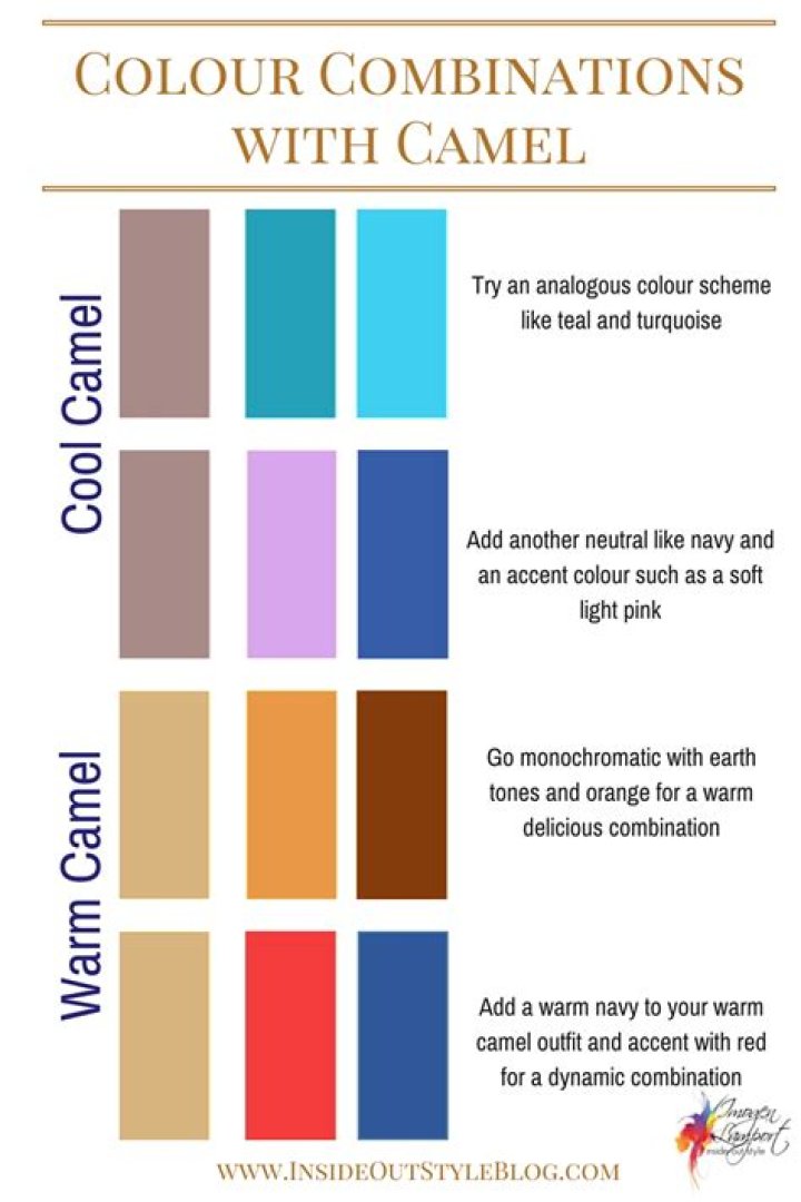 What is the camel Colour?