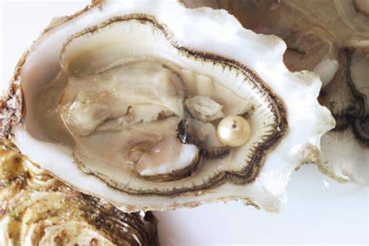 What is the cost of Pearl in India?