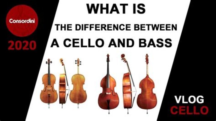 What is the difference between a cello and a bass?