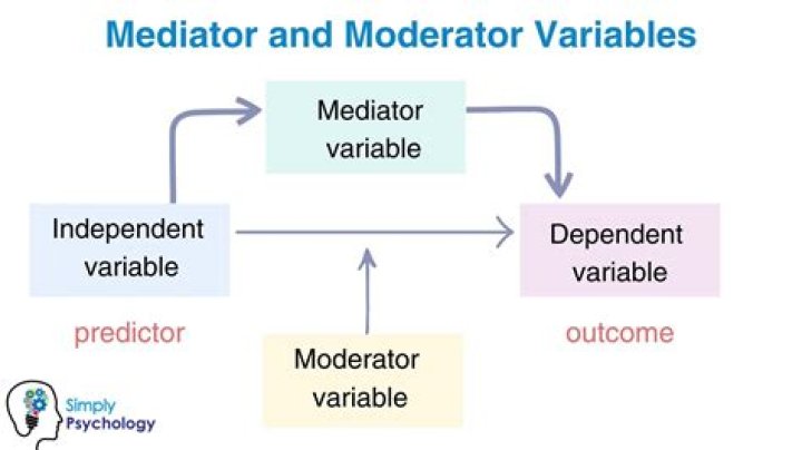 What is the difference between a moderator and a facilitator?