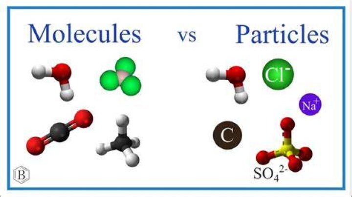 What is the difference between a molecule and a particle?