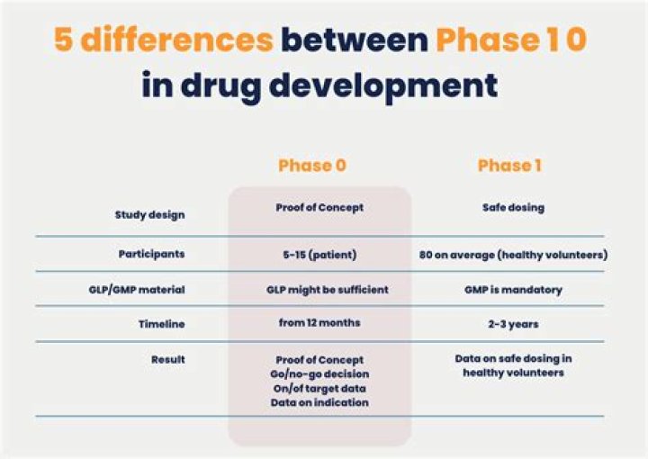 What is the difference between a phase and a stage?