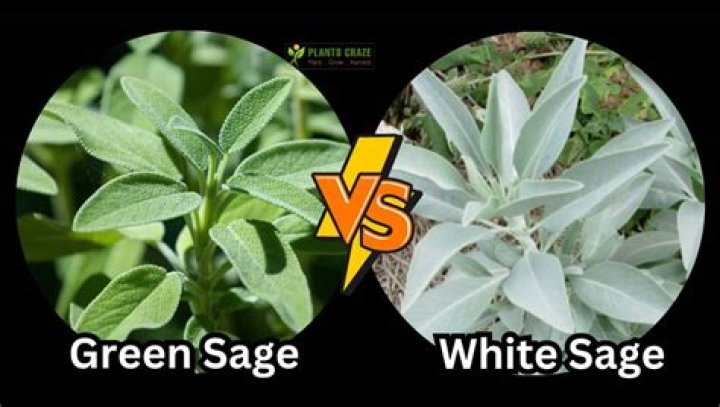 What is the difference between dried sage and ground sage?
