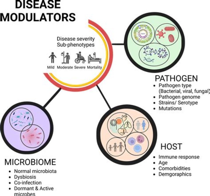 What is the difference between harmless microorganisms and pathogens?