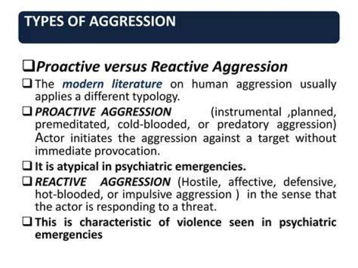 What is the difference between instrumental violence and reactive violence?