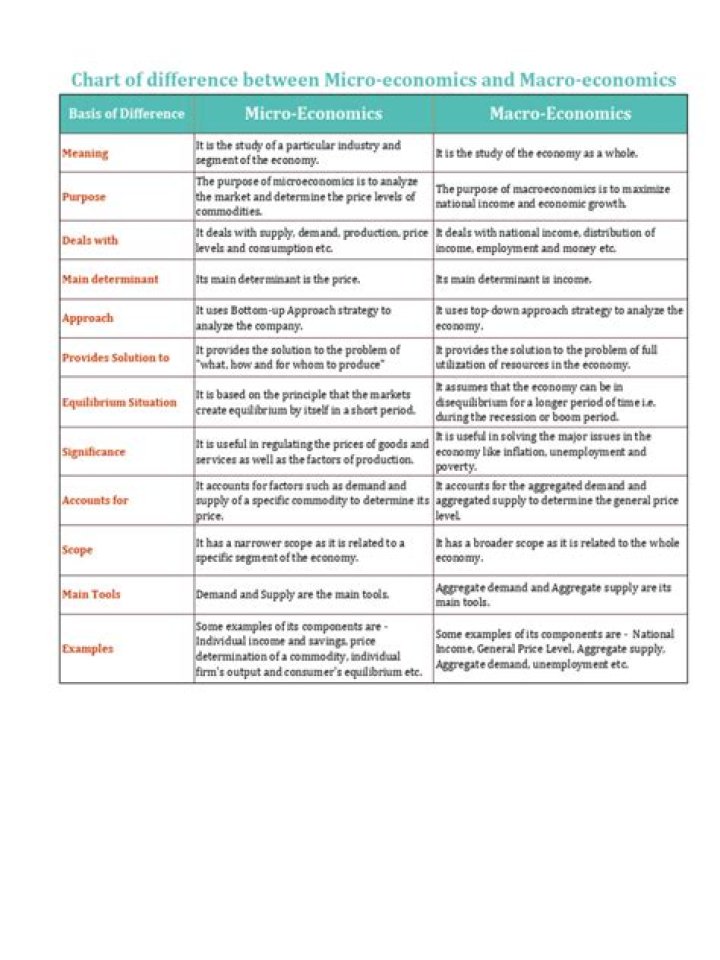 What is the difference between macro and micro economics PDF?