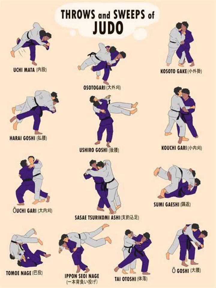 What is the difference between martial arts and Jiu Jitsu?