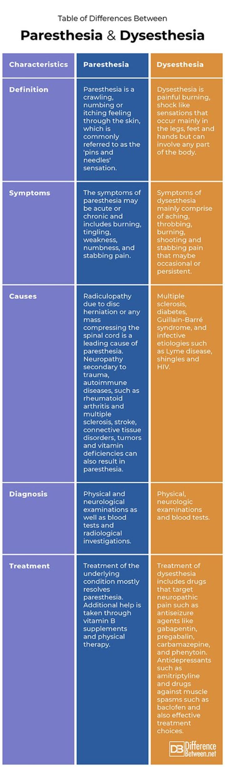 What is the difference between paresthesia and anesthesia?