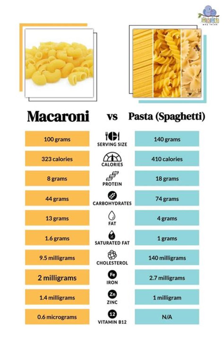 What is the difference between pasta macaroni and spaghetti?