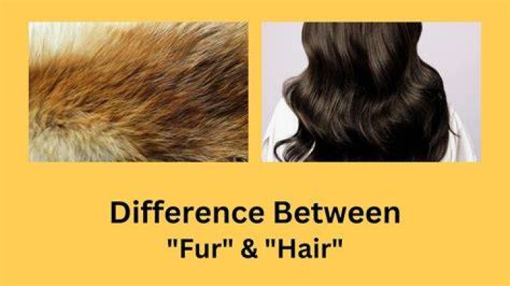 What is the difference between pelt and fur?