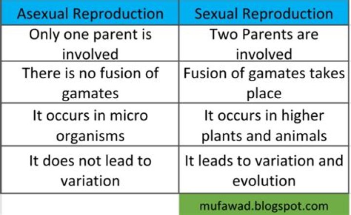 What is the difference between reproduction and growth?