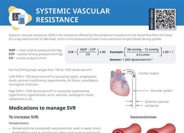 What is the difference between systemic vascular resistance and peripheral vascular resistance?