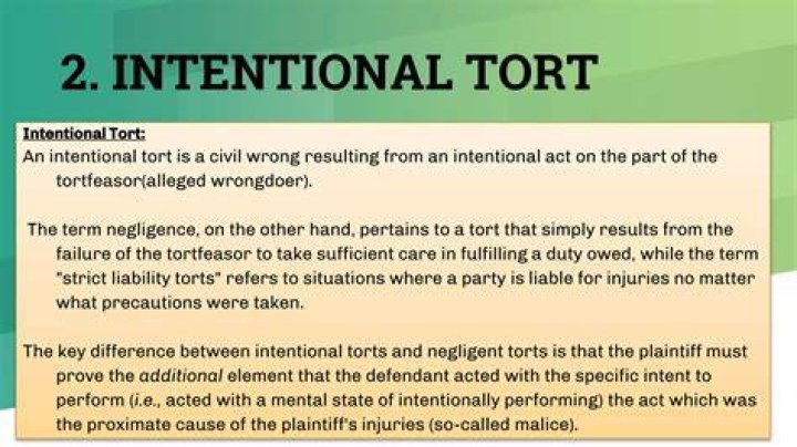 What is the difference between tort and Torts?