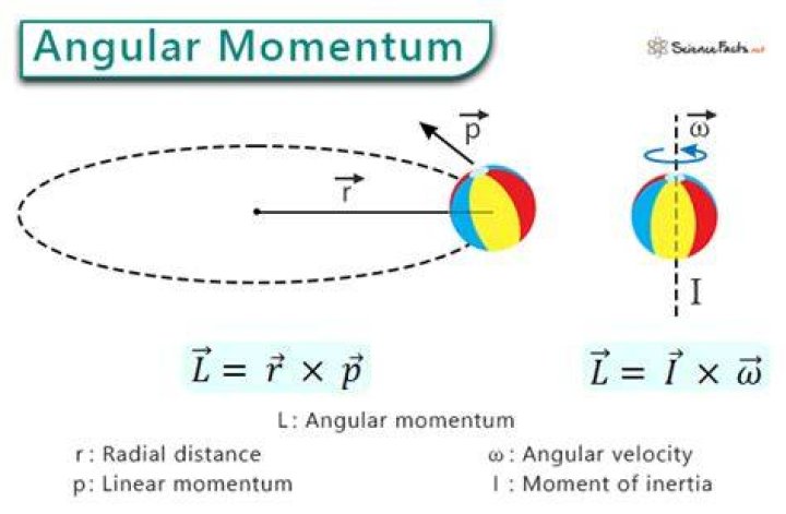 What is the direction of the angular momentum of the ball about the support point?