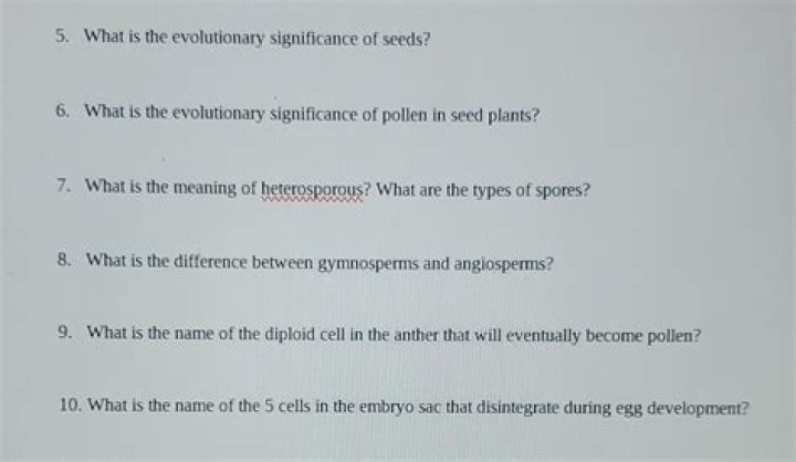 What is the evolutionary significance of seeds?