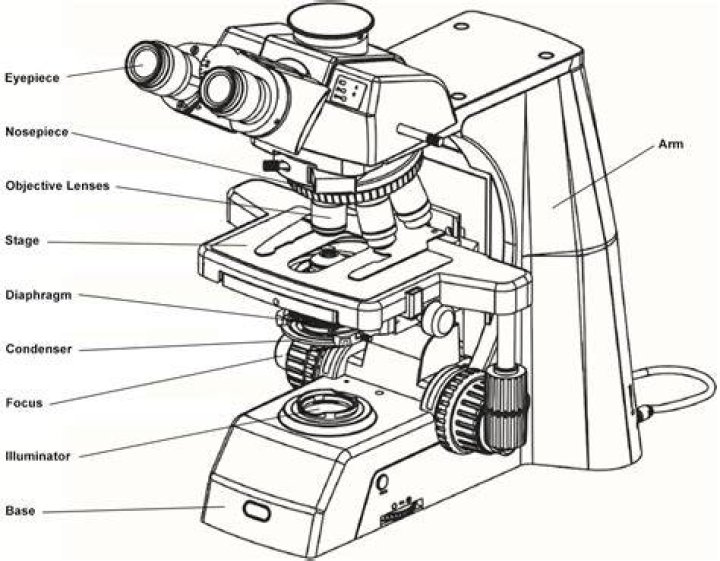 What is the fastest way to focus a microscope?
