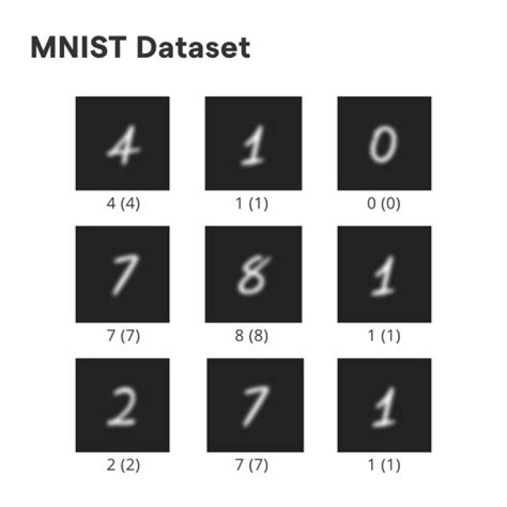 What is the format of Mnist data?