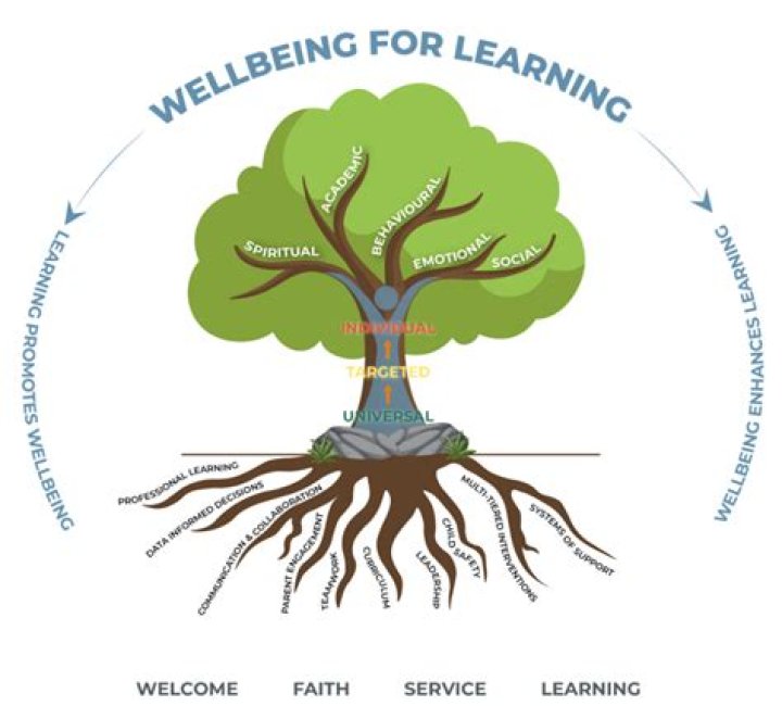What is the foundation for learning?