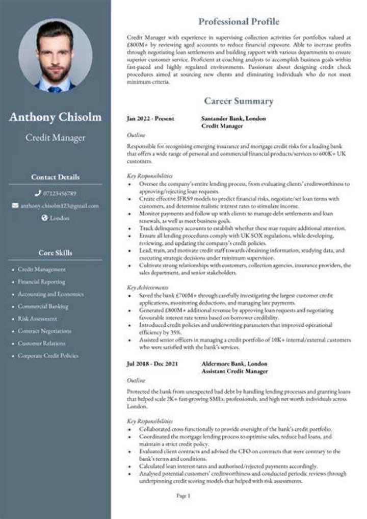 What is the function of credit officer?