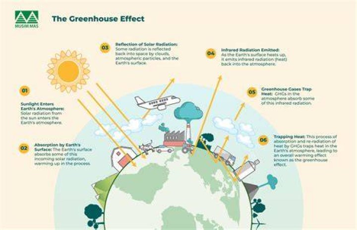 What is the greenhouse effect on Venus?