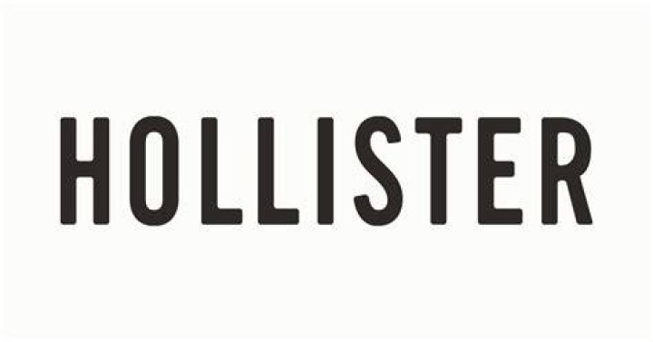 What is the Hollister logo?