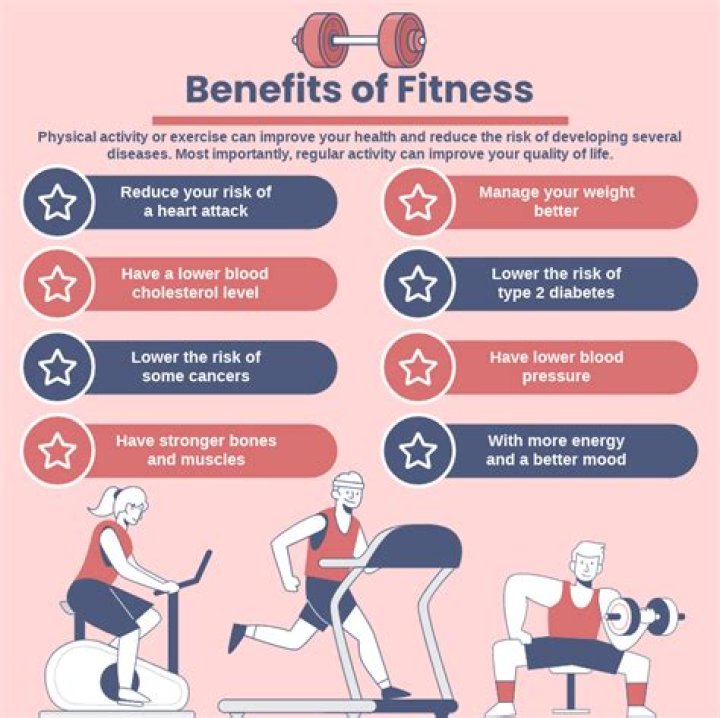 What is the importance of physical fitness and wellness?