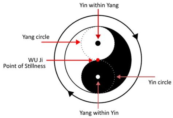 What is the line between Yin and Yang called?