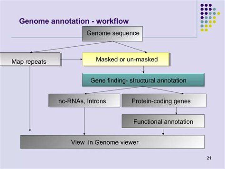 What is the main goal of genome annotation?