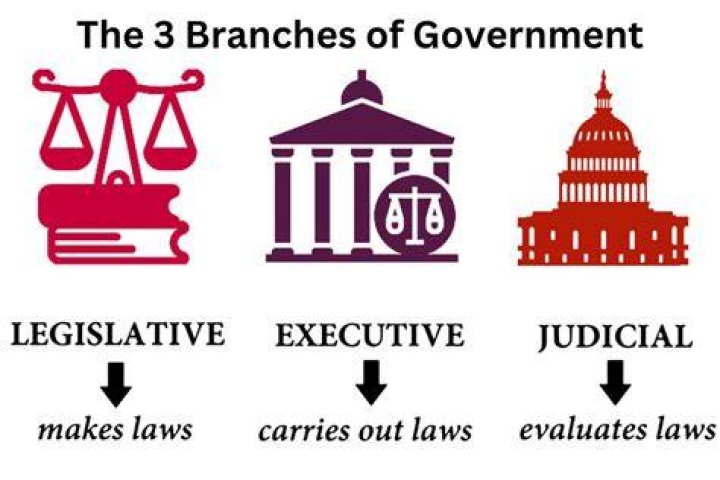 What is the main job of a senator?