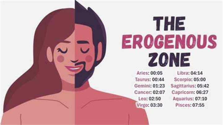 What is the male Virgo erogenous zone?
