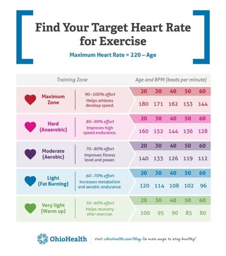 What is the maximum heart rate during exercise?