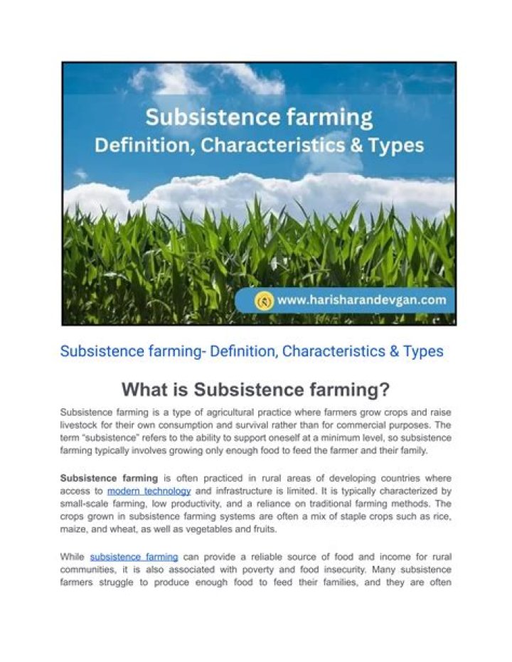 What is the meaning of subsistence system?