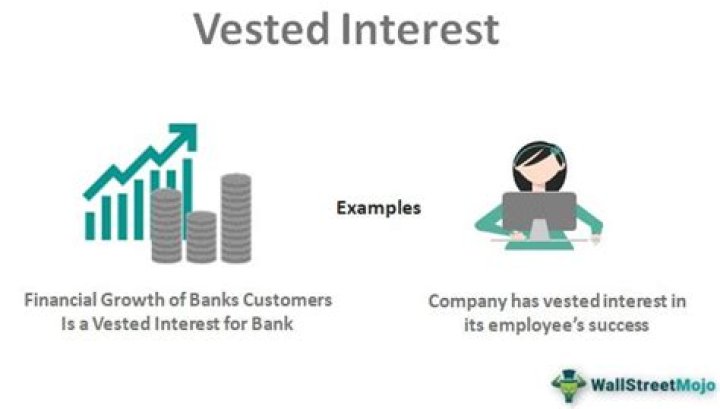What is the meaning of vested shares?